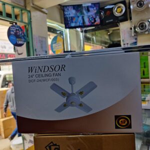 Windsor 24" Ceiling Fan